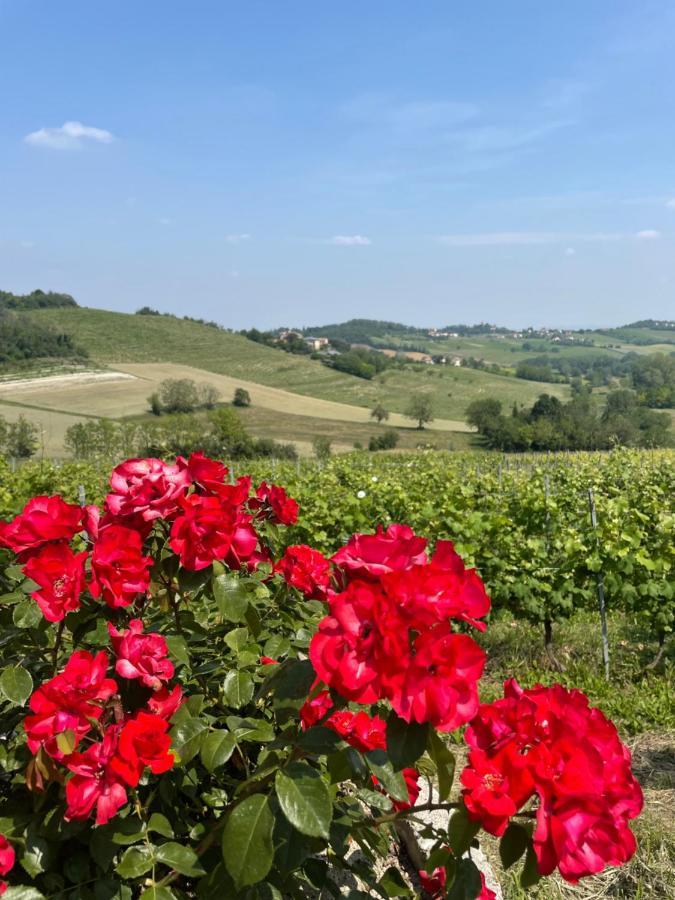 La Corte Delle 4 Stagioni Ozzano Monferrato Exterior photo