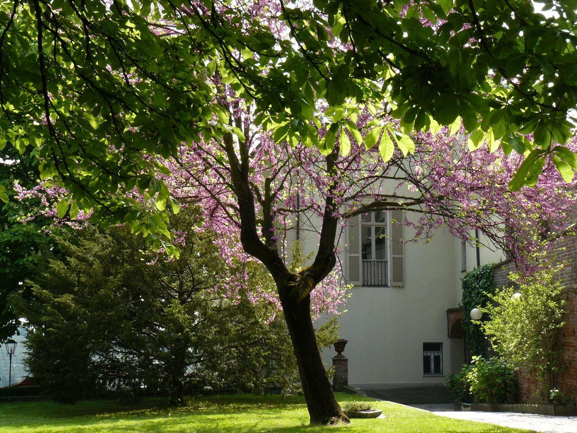 La Corte Delle 4 Stagioni Ozzano Monferrato Exterior photo